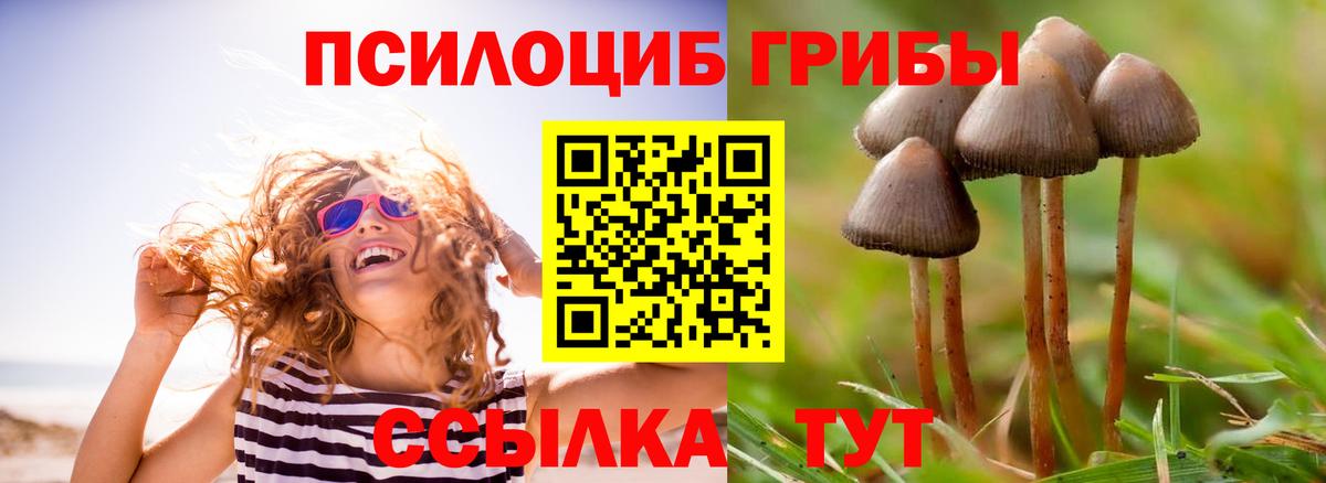 Галлюциногенные грибы мицелий  Вход с VPN  Печора 