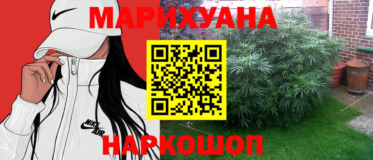 Шишки марихуана марихуана  Марихуана сатива  Марихуана семена  Печора  Вход с VPN 